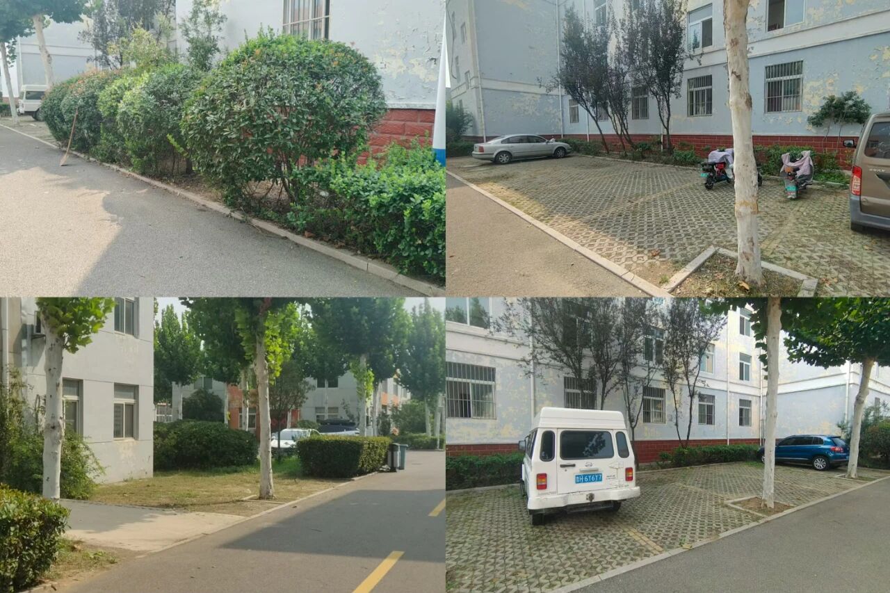 【魯南電商】共建美麗園區(qū)，我們在行動！1